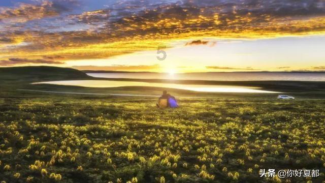 幻想森林逃生